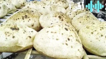 شعبة المخابز تؤكد تثبيت سعر رغيف الخبز المدعم رغم ارتفاع كلفة الوقود